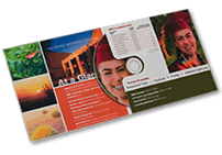 CDs in 4-panel and 6-panel full-color "Green Wallets" CDs in 4-panel and 6-panel full-color "Green Wallets"